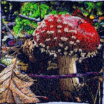 Mushrooms 2