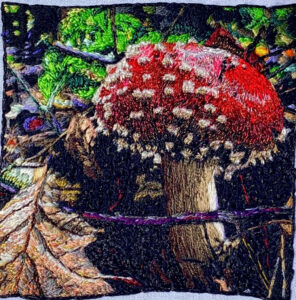 Mushrooms 2